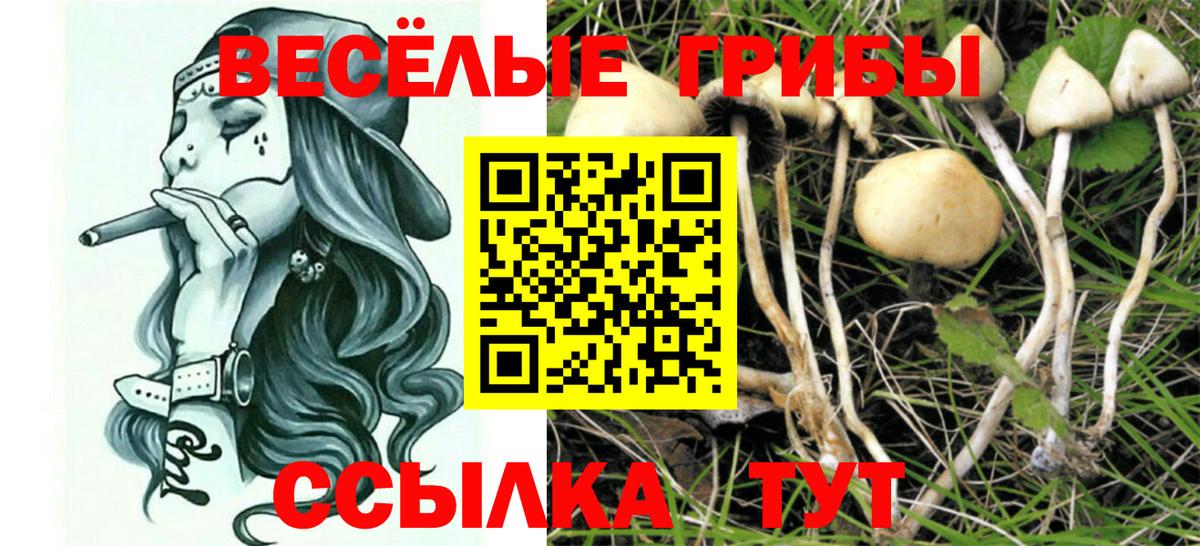 Краснотурьинск  купить   Вход с VPN  Галлюциногенные грибы GOLDEN TEACHER 